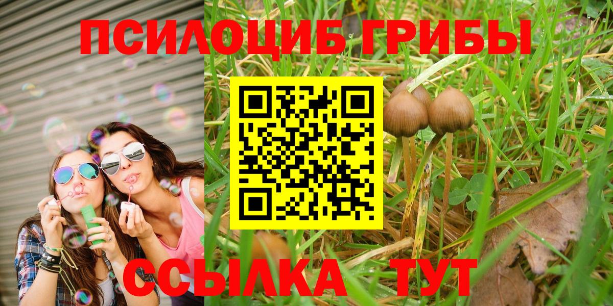 Галлюциногенные грибы MAGIC MUSHROOMS  Галлюциногенные грибы Magic Shrooms  Реутов  Вход с VPN 