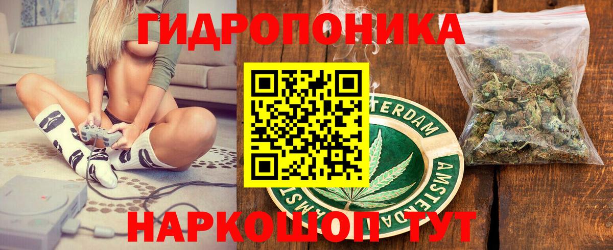 Канабис сатива Реутов